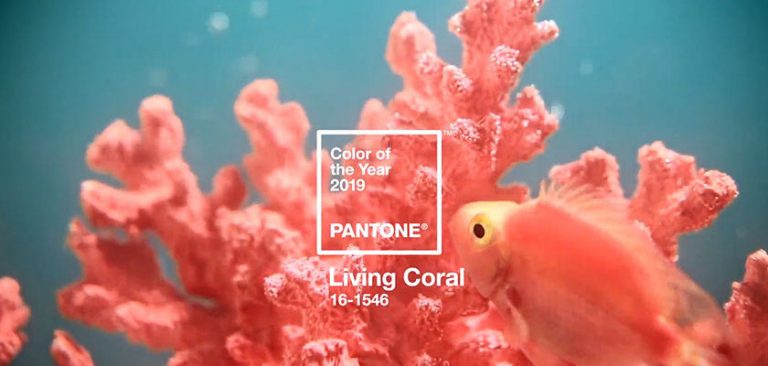 pantone colour of the year 2019