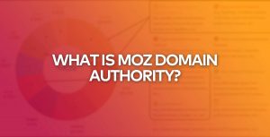 What is Moz Domain Authority